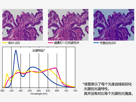 专为病理学和细胞学优化的明亮LED照明