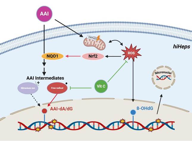 8e3fecb3e4ce3474233ac3883325471