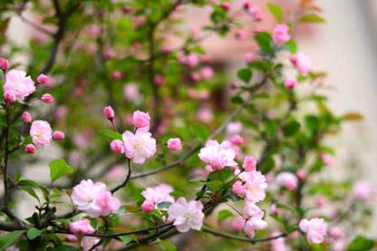 http://wx.youthdaily.cn:8000/15855534351090990770/images/xsUSXPag.jpg
