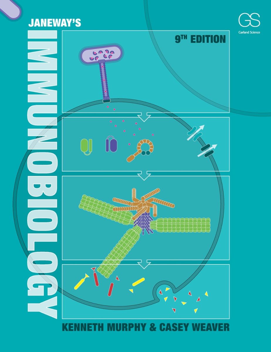 Janeway's Immunobiology  (馆藏索书号：R392.1/J33i9 )